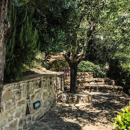 Apartment Montagnana